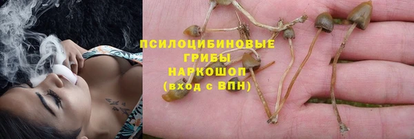 каннабис Арсеньев